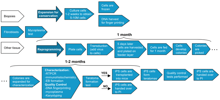 A flowchart of the reprogramming process